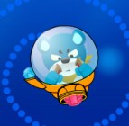 Bear Zuma Bear Zuma