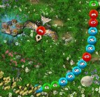 Invassion